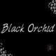 Black Orchid